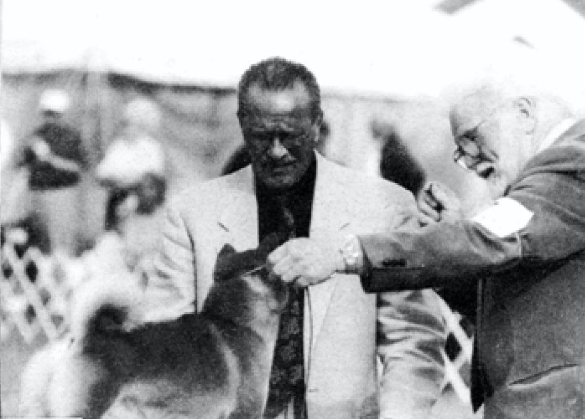 The Florida Circuit, 1996